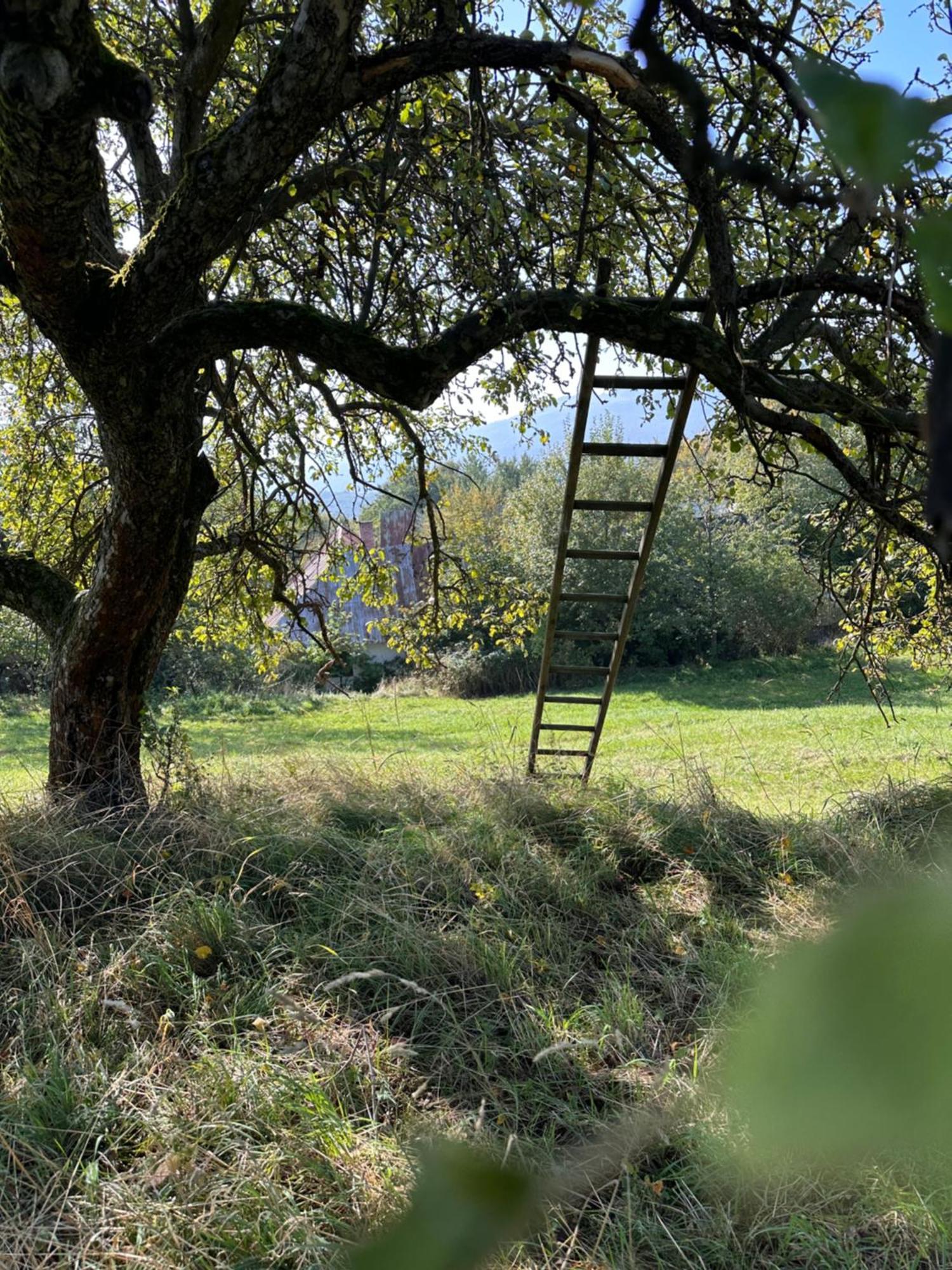 Nadherne Misto Pro Vas Relax V Prirode Uherské Hradiště エクステリア 写真